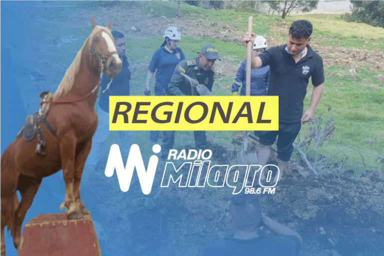 Policía Comunitaria de Oicatá en apoyo con el cuerpo de Bomberos de Oicatá, lideró operativo para rescatar un caballo atrapado en una zanja en la vereda Poravita