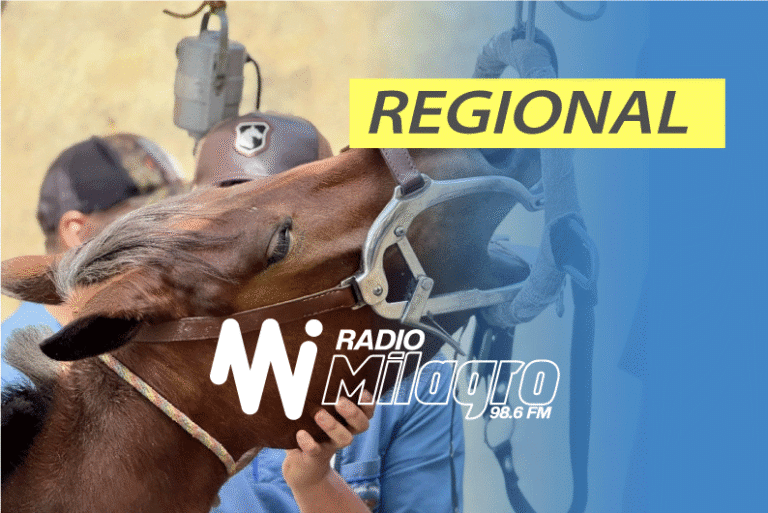 En Boyacá se trabaja con amor y compromiso por la salud y protección de los animales